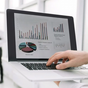 ĮMONĖS FINANSŲ ESMĖ IR VALDYMO MODELIS (4 akad. val.)