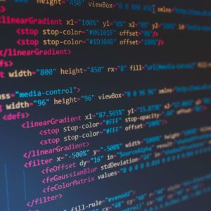 PROGRAMAVIMO PAGRINDAI „PROGRAMUOTI GALI VISI“ ( 40 akad. val.)