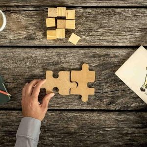 Problemos organizacijose ir efektyvūs jų sprendimų būdai (8 akad.val.)