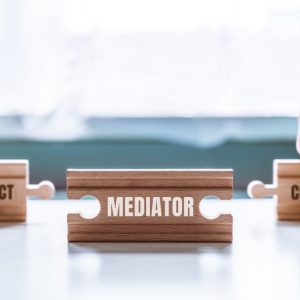 NUOTOLINIAI MEDIACIJOS MOKYMAI PRADEDANTIEMS (7 temos- 56 akad. val.)